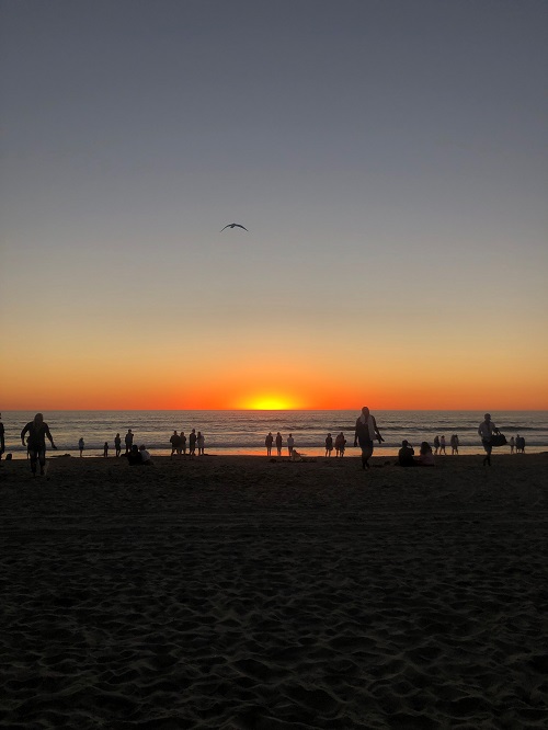 留学生ブログ カリフォルニア大学サンディエゴ校 Vol 3 海外留学するならgo留学